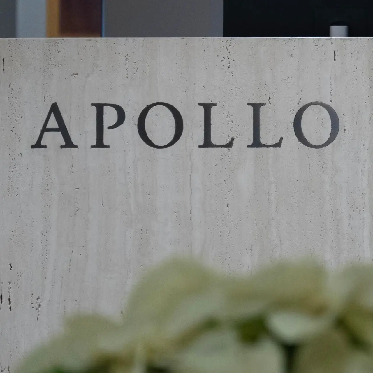 PE 巨头 Apollo 提供 30 亿美元融资,购买英伟达芯片租赁给 xAI